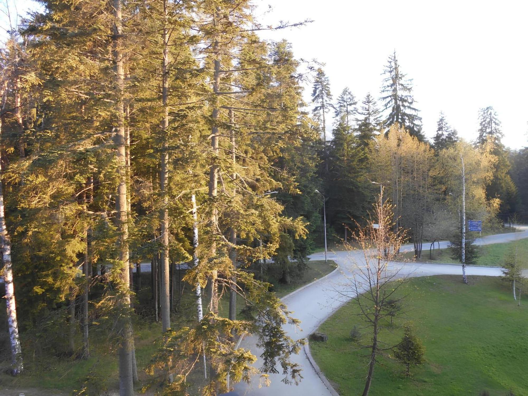 Neat Studios In "Borovets Gardens" Hotel Exteriör bild